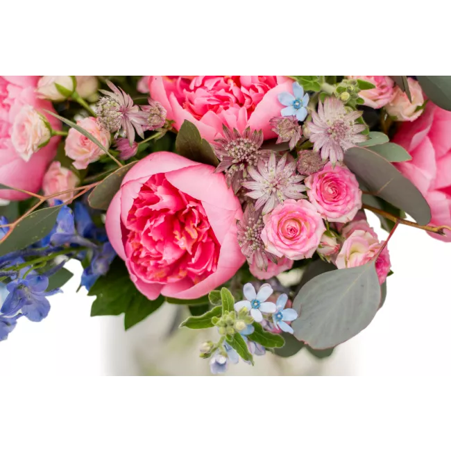 Bouquet of peonies